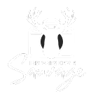 photographe animalier